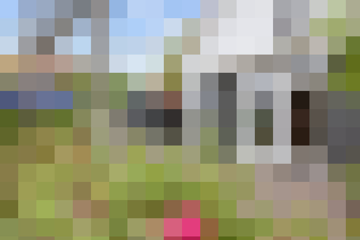 Image 53