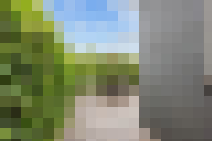 Image 43