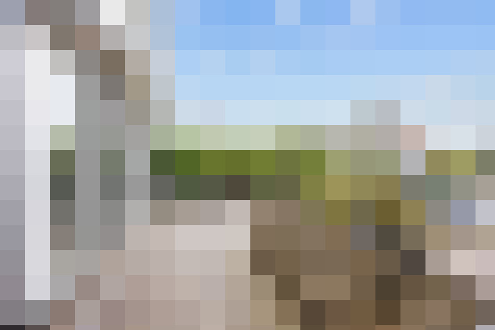 Image 46