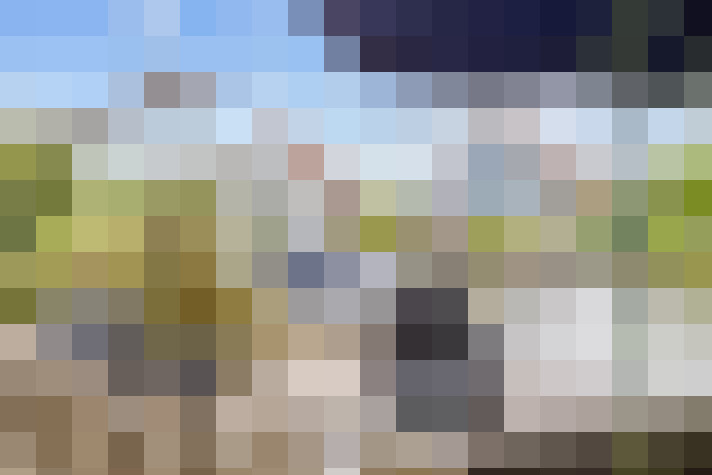 Image 51