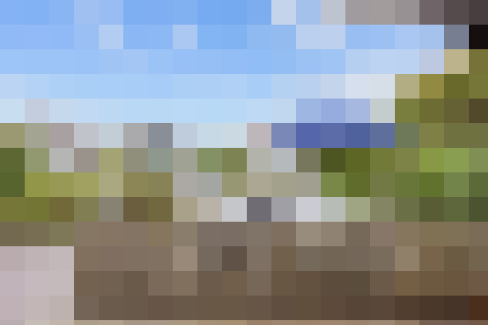 Image 48