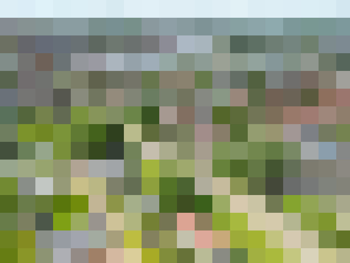 Image 55