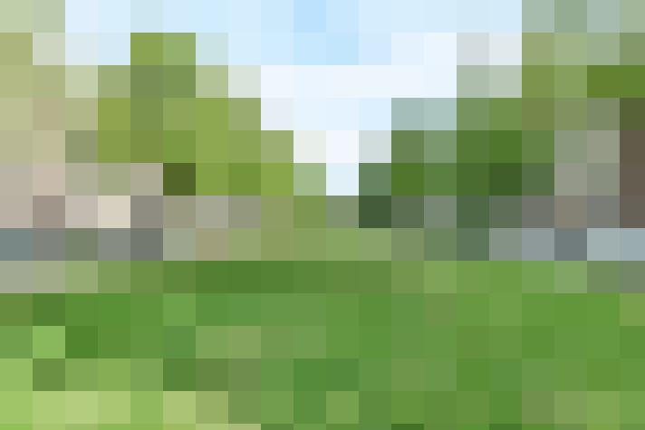 Image 29