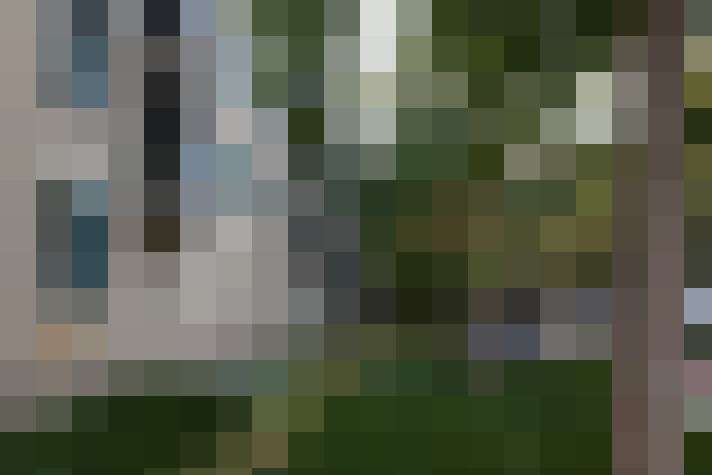 Image 17