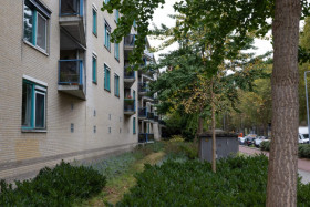 Apartment in Rotterdam