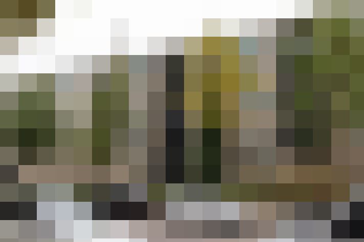 Image 15