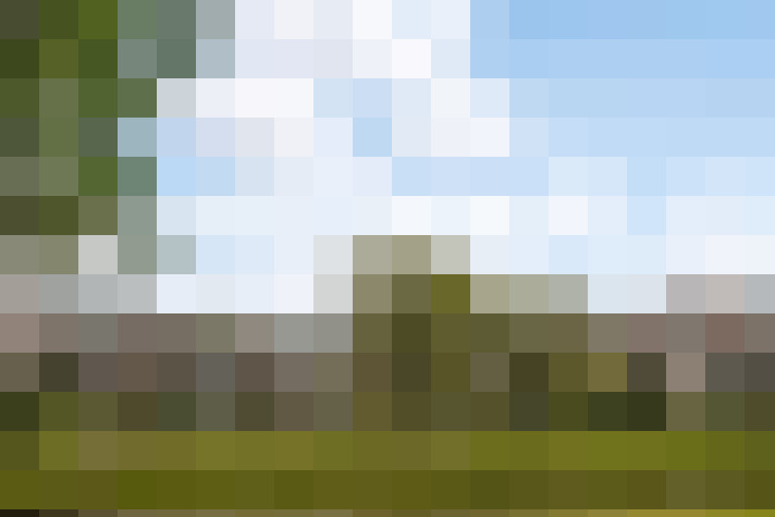 Image 26