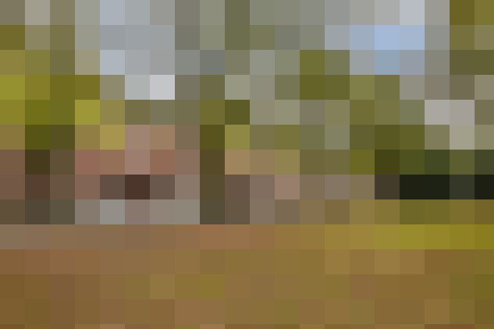 Image 17