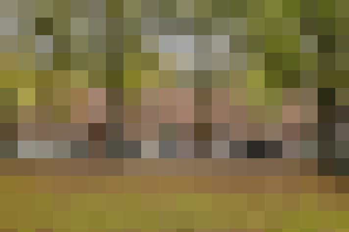 Image 18