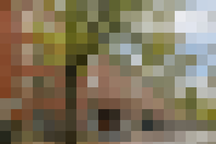 Image 26