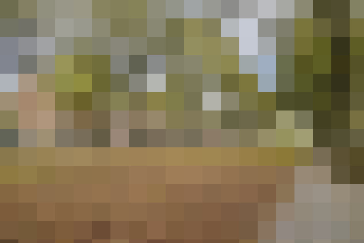 Image 25