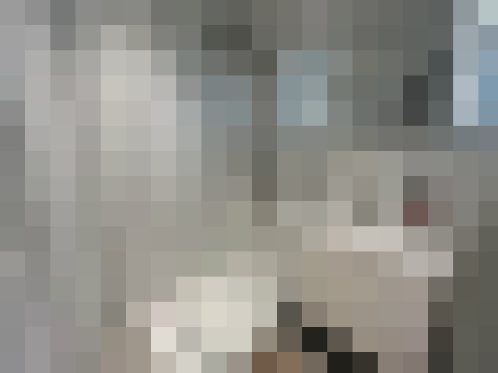 Image 14
