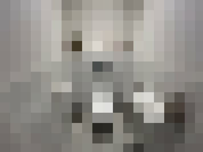 Image 13