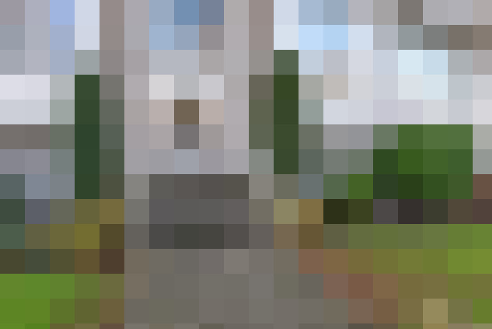 Image 24