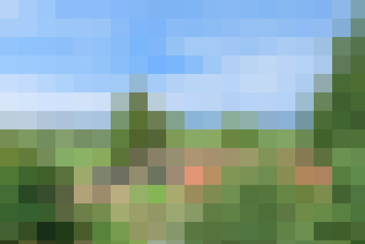 Image 43