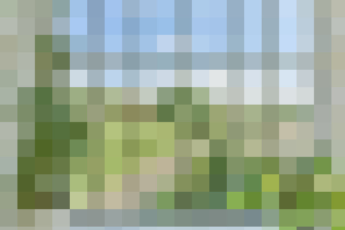 Image 32
