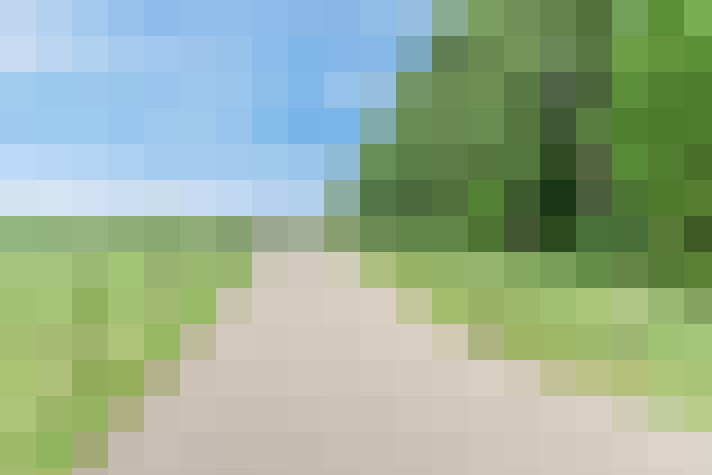 Image 22