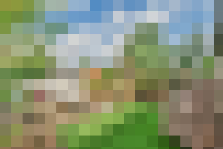 Image 37