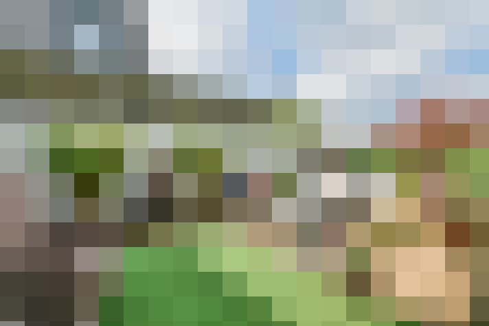 Image 36