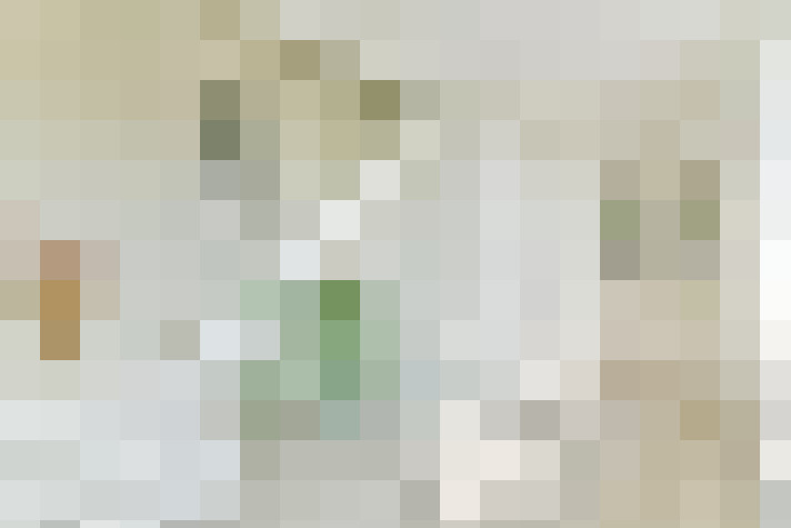 Image 29