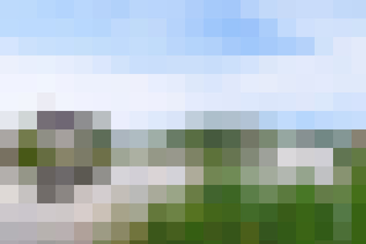 Image 23