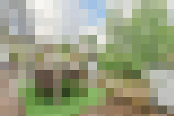 Image 39