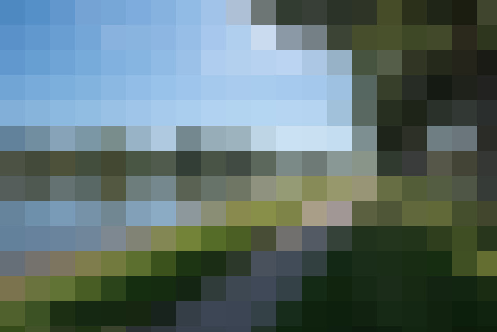 Image 28