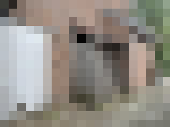 Image 29