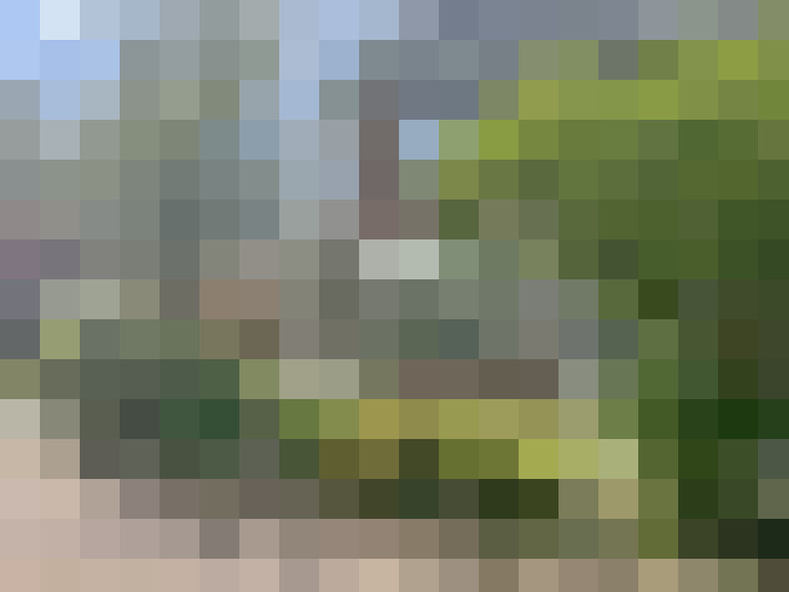 Image 31