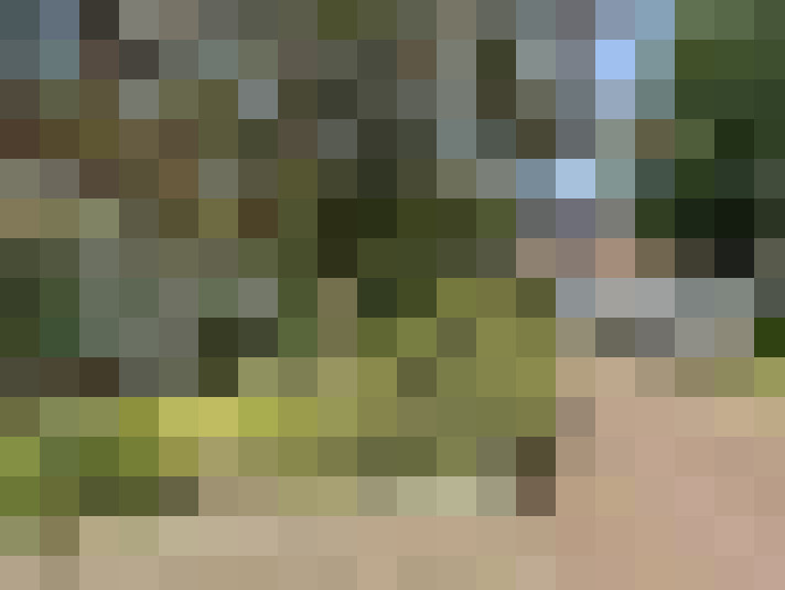 Image 30