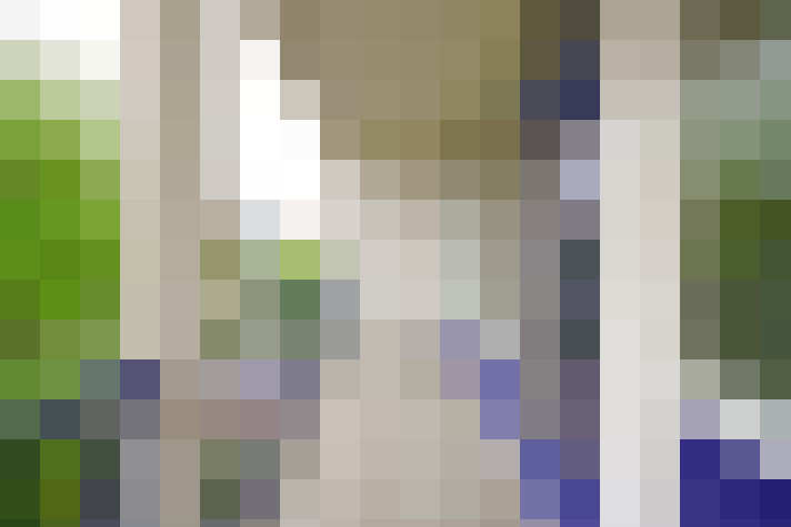 Image 17