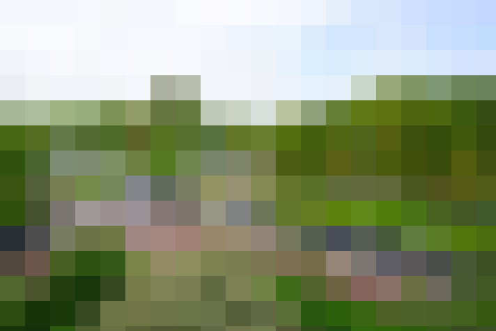 Image 26