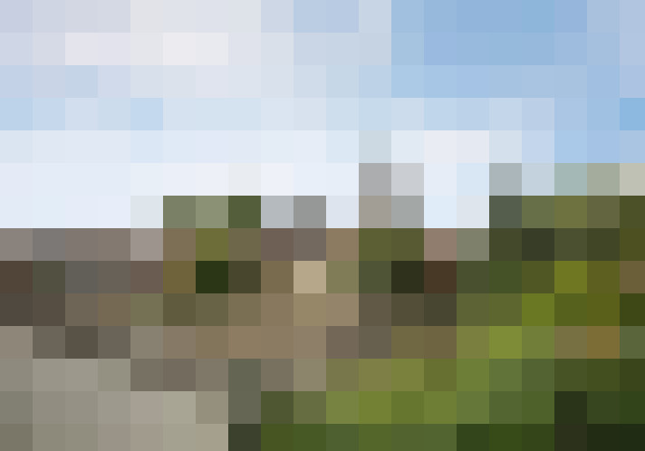 Image 20