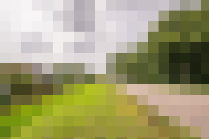 Image 43