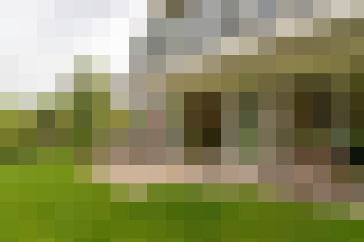 Image 22