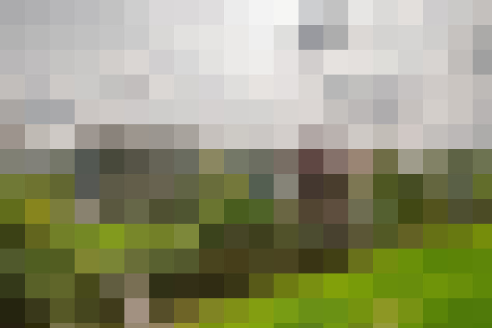 Image 42
