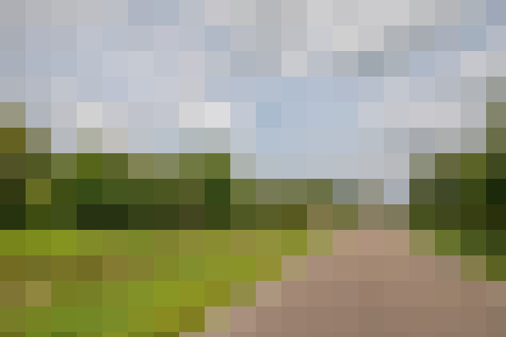 Image 44