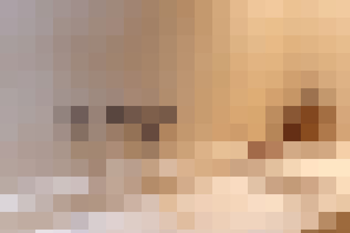 Image 29