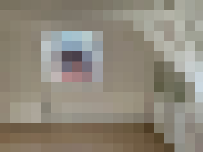 Image 16