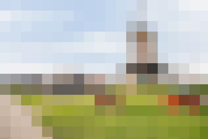 Image 29