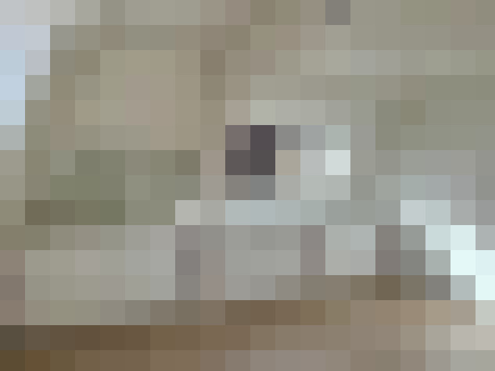 Image 17