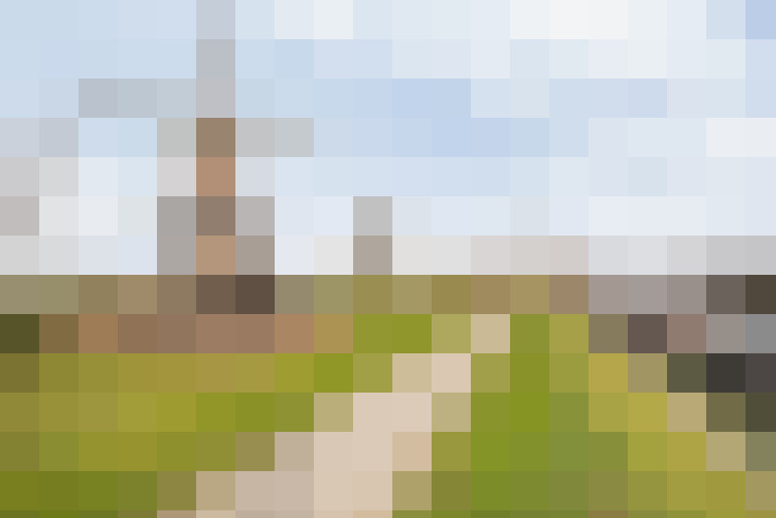 Image 30