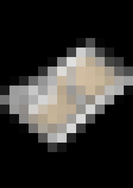 Image 33