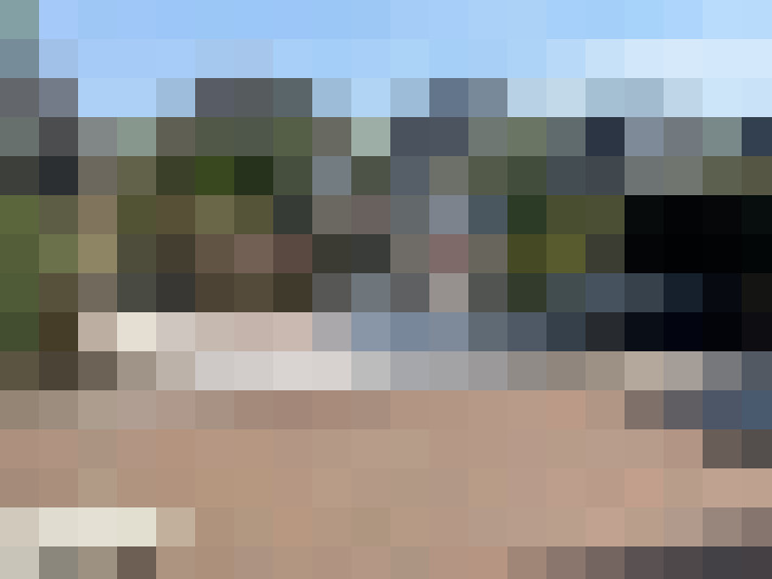 Image 13