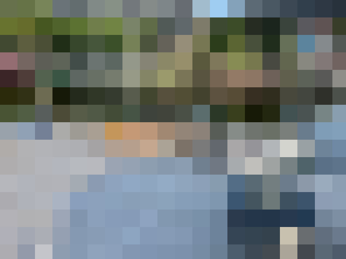 Image 16