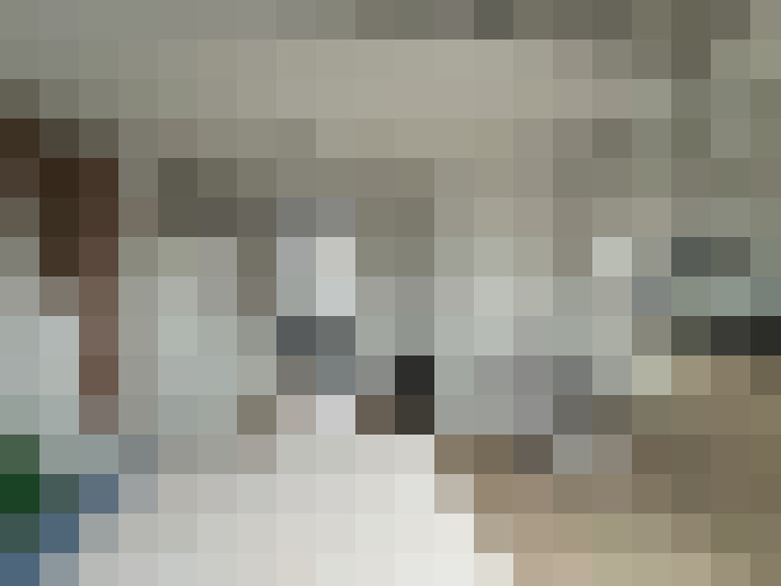 Image 13