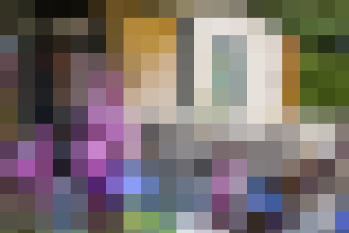 Image 13