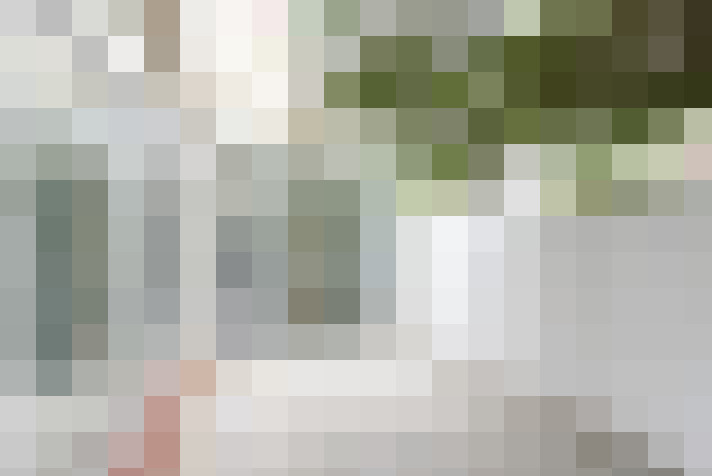 Image 20