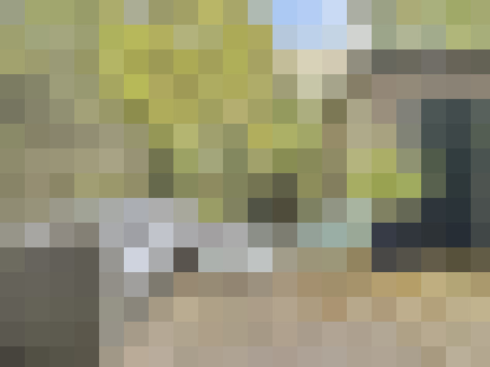 Image 20