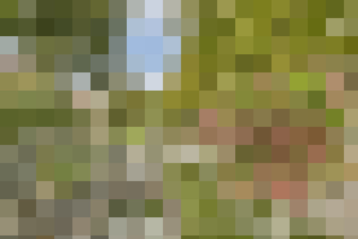 Image 34